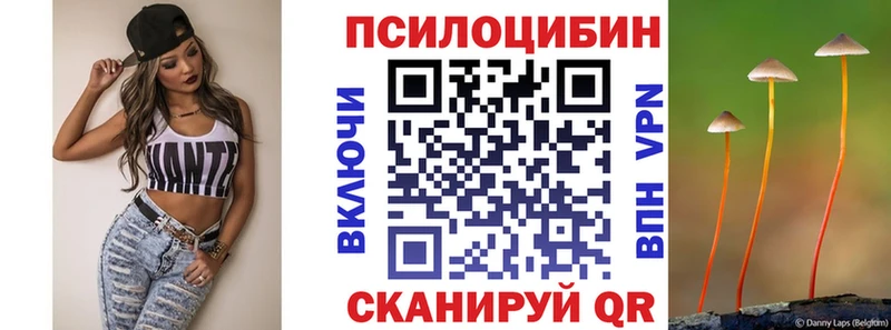 Псилоцибиновые грибы Cubensis Барнаул
